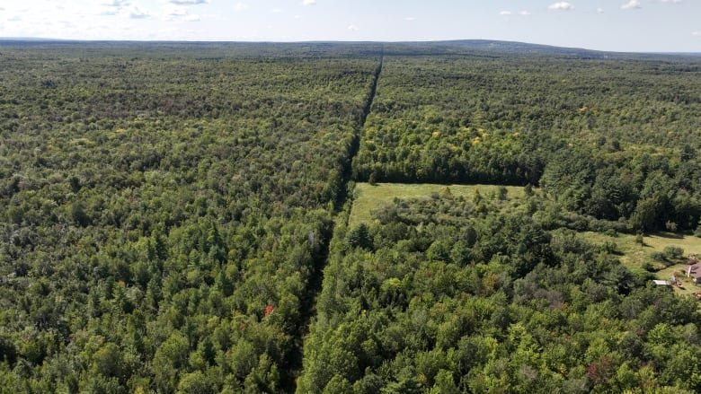 An areal shot of a clearling running in a straight line through forests marking the Canada-US border.