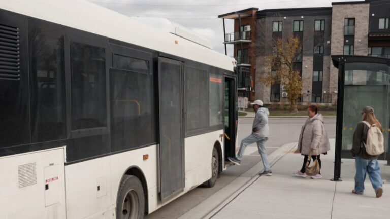 This town made transit free for everyone